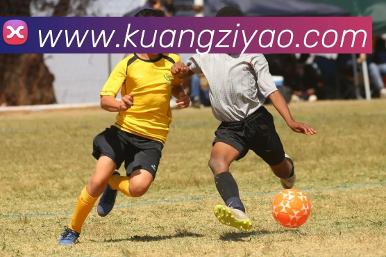 九游官网官方入口全站App